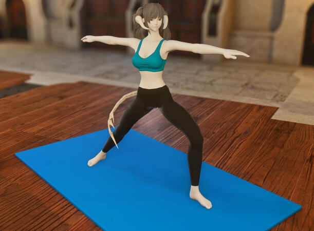 Wii Fitnotized