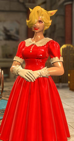 Rubber Housewife